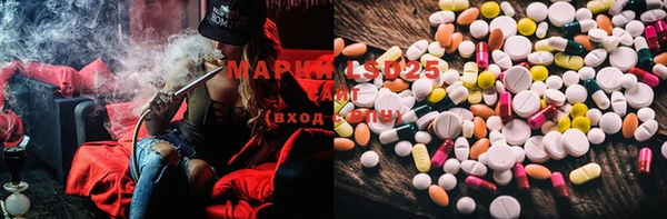 mdma Бородино